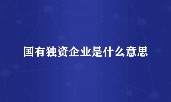 国有独资企业是什么意思