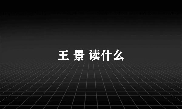 王 景 读什么