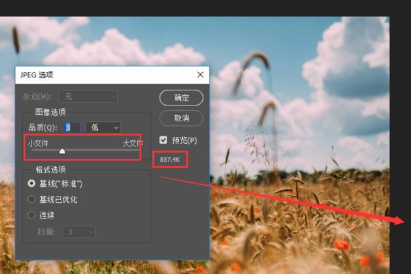 ps怎么调大小 要求调成5m是什么意思啊