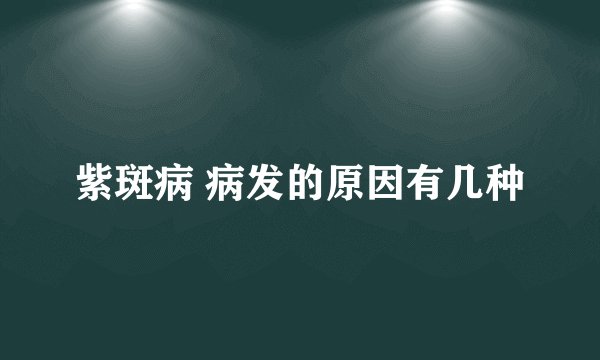 紫斑病 病发的原因有几种