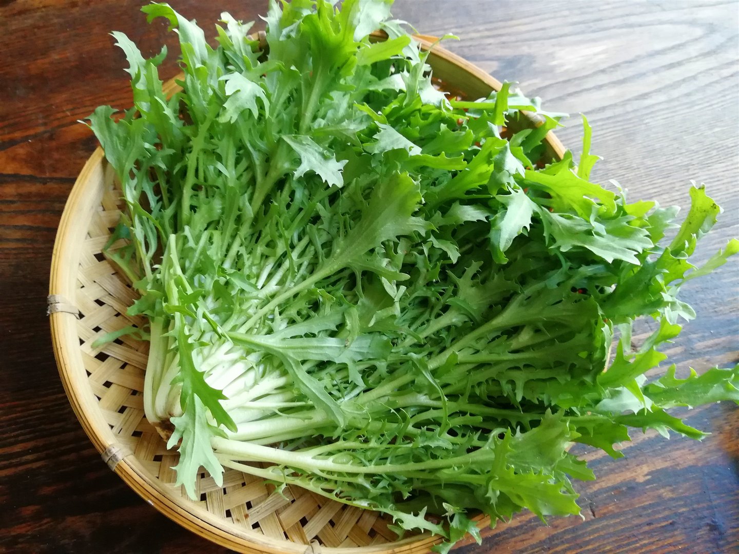 苦菊的功效与作用及禁忌，如何正确健康的食用苦菊？