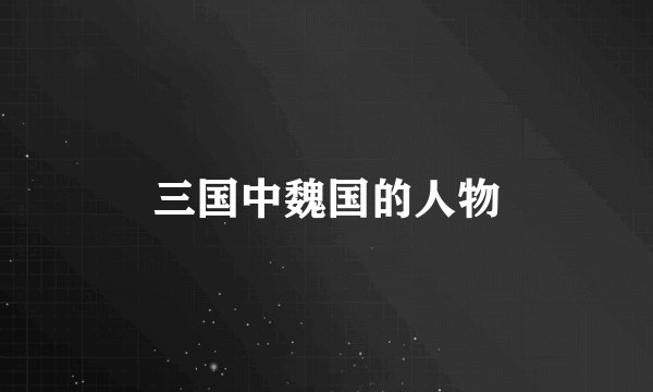 三国中魏国的人物