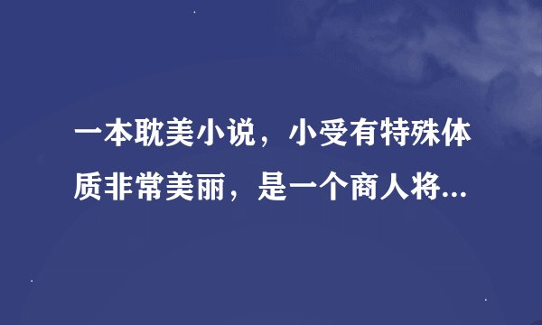 一本耽美小说，小受有特殊体质非常美丽，是一个商人将他进贡给皇上（？），然后皇上在他xx里塞冰块，并