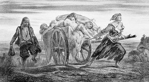 黑死病怎么被消灭了