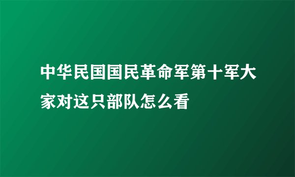 中华民国国民革命军第十军大家对这只部队怎么看