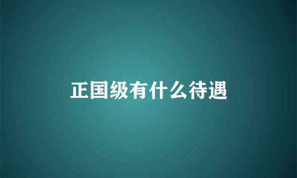 正国级有什么待遇