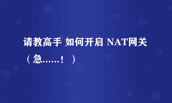 请教高手 如何开启 NAT网关（急......！）