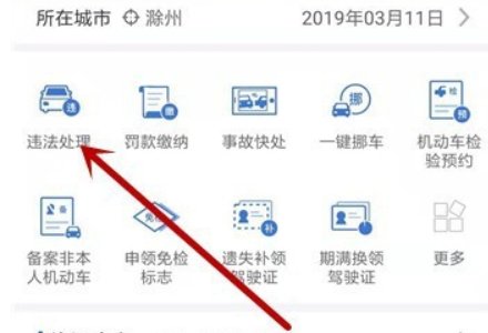 怎么在网上查询车辆违章的详细信息