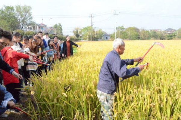 各地大中小学加强劳动教育，这样做有什么意义？