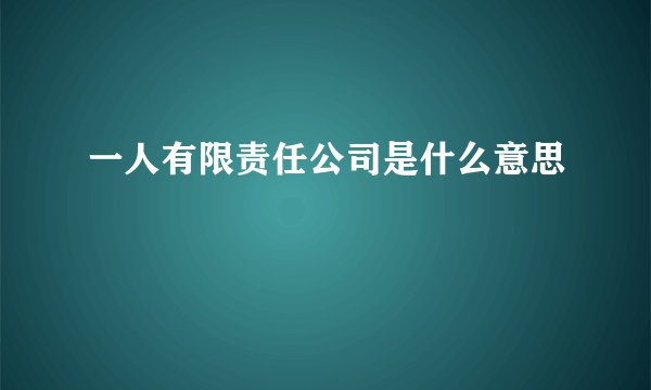 一人有限责任公司是什么意思