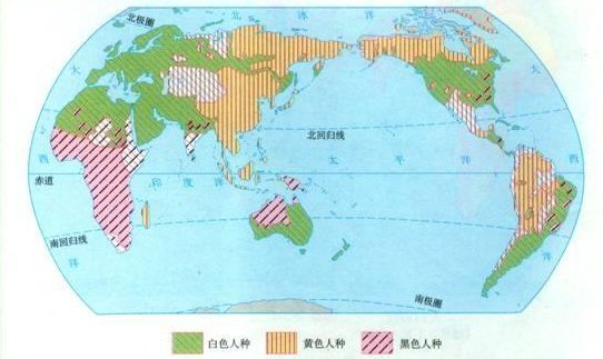 欧洲有几个种族