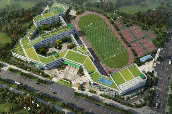 山东的专科医学院排名