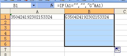 wps excel 身份证前加G