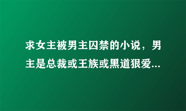求女主被男主囚禁的小说，男主是总裁或王族或黑道狠爱女主，女主淡然聪明绝美或者迷糊可爱。现代文。