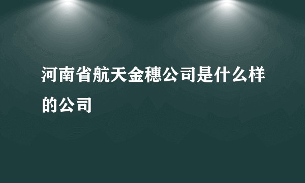 河南省航天金穗公司是什么样的公司