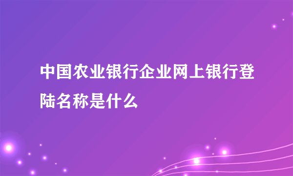 中国农业银行企业网上银行登陆名称是什么