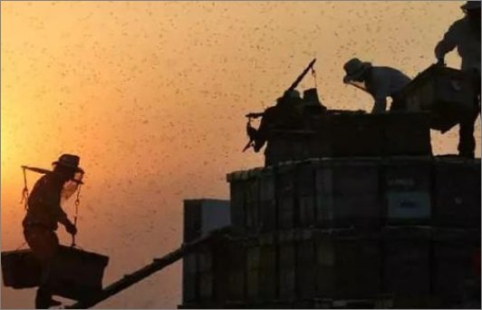 劳模精神和工匠精神的表现？