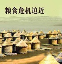 都2020年了，为什么世界还会发生粮食危机？