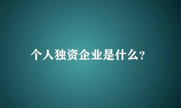 个人独资企业是什么？