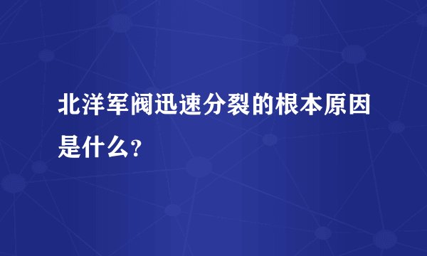 北洋军阀迅速分裂的根本原因是什么？