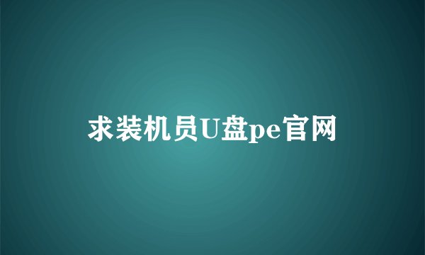 求装机员U盘pe官网