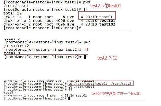 linux下怎么把一个文件复制到另一个文件夹