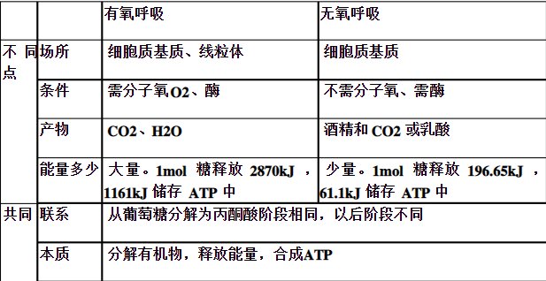 有氧呼吸和无氧呼吸的异同点的比较（列表）
