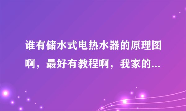 谁有储水式电热水器的原理图啊，最好有教程啊，我家的热水器坏了！