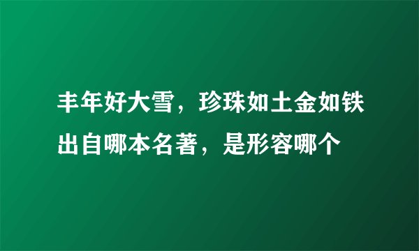丰年好大雪，珍珠如土金如铁出自哪本名著，是形容哪个