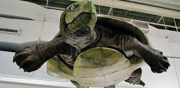 那些已经灭绝的史前10大动物有哪些？