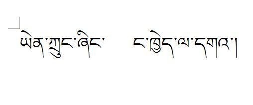 藏文在线翻译 谢谢!