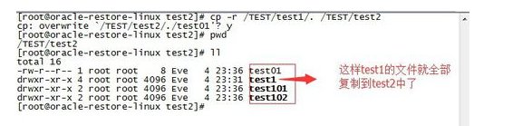 linux下怎么把一个文件复制到另一个文件夹