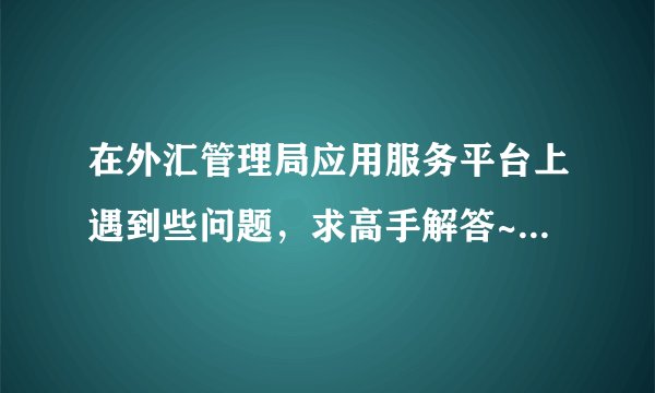 在外汇管理局应用服务平台上遇到些问题，求高手解答~~~~谢啦