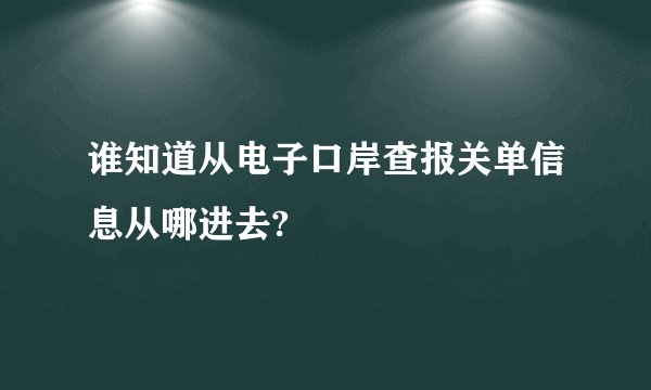 谁知道从电子口岸查报关单信息从哪进去?