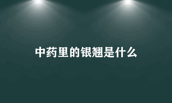 中药里的银翘是什么