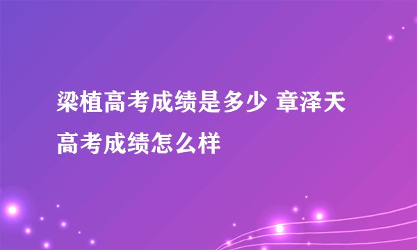 梁植高考成绩是多少 章泽天高考成绩怎么样
