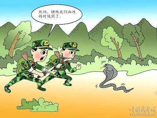 军人特有的10种品质，你占了几条