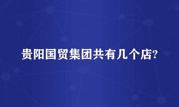 贵阳国贸集团共有几个店?