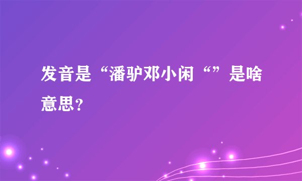 发音是“潘驴邓小闲“”是啥意思？