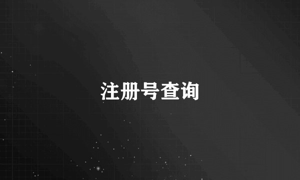 注册号查询