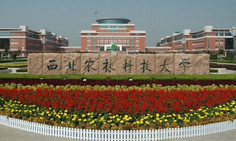 西北农林科技大学 的就业情况怎么样啊？