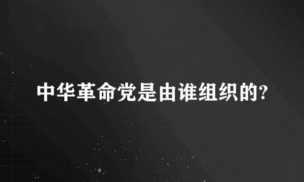 中华革命党是由谁组织的?