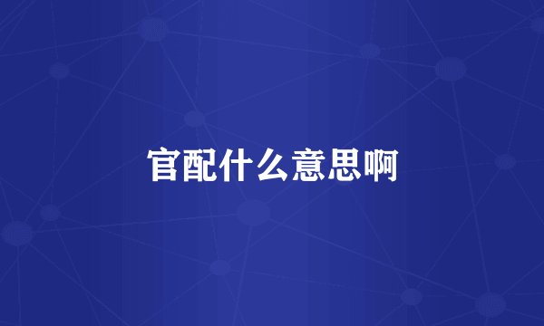 官配什么意思啊