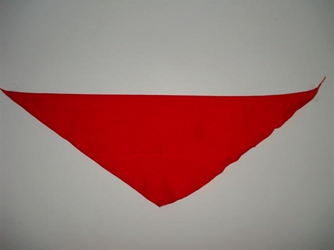 红领巾的样子，要图片