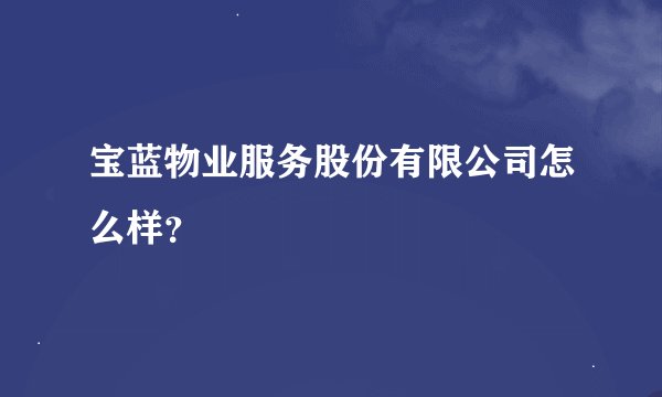 宝蓝物业服务股份有限公司怎么样？