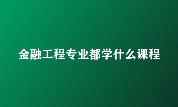 金融工程专业都学什么课程