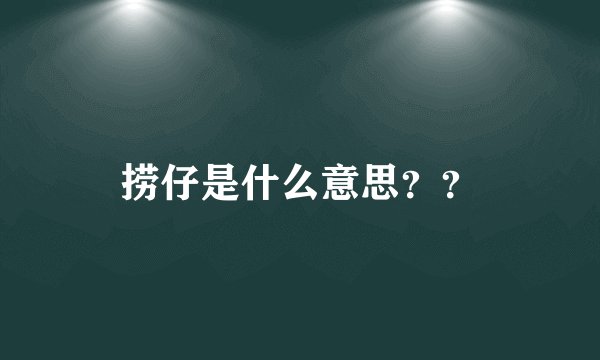捞仔是什么意思？？