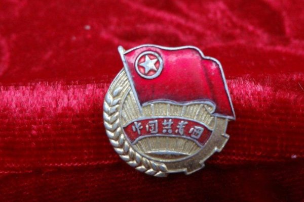 中国共青团团徽是哪五个部分组成