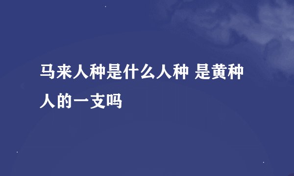 马来人种是什么人种 是黄种人的一支吗