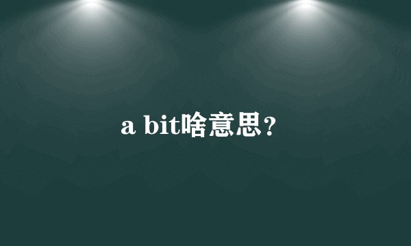 a bit啥意思？
